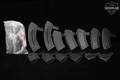 Multiple Manufacturers TWELVE (12) SKS Magazines 7.62x39 in Good Condition Image 2