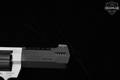 Taurus Raging Hunter .44 Mag. Two-Tone in Excellent Condition Image 5