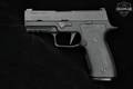 Sig Sauer P320 AXG Carry 9mm Luger Two-Tone Black & Titanium Gray in Excellent Condition Image 3