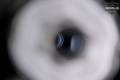 Q Jumbo Shrimp .25 ACP (6.5mm) in Excellent Condition Image 4