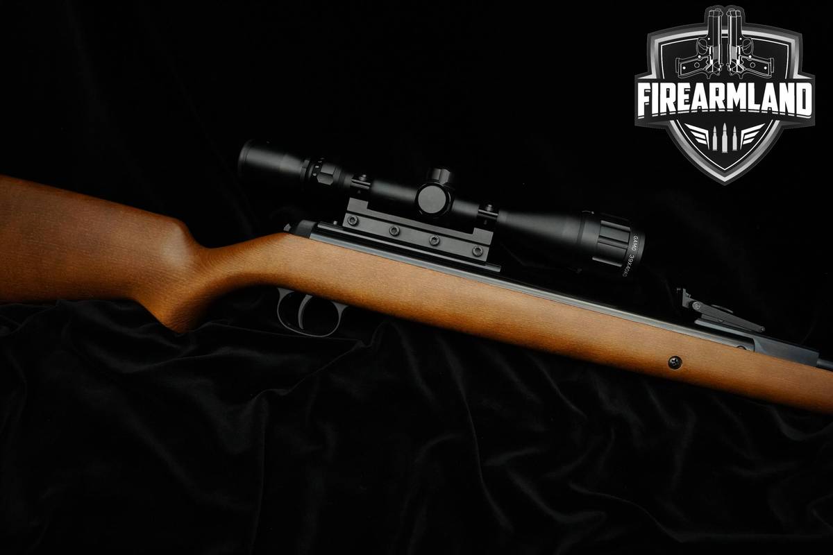 RWS 34 T06 Classic 22 19.75" Blued RWS +OPTIC