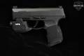 Sig Sauer P365 No Manual Safety 9mm Luger Black in Good Condition Image 5