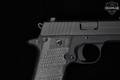 Sig Sauer P238 Xtreme .380 ACP Nitron in Excellent Condition Image 4
