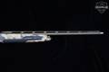 2021 Browning Maxus II Wicked Wing 12 Gauge Burnt Bronze in Excellent Condition Image 5