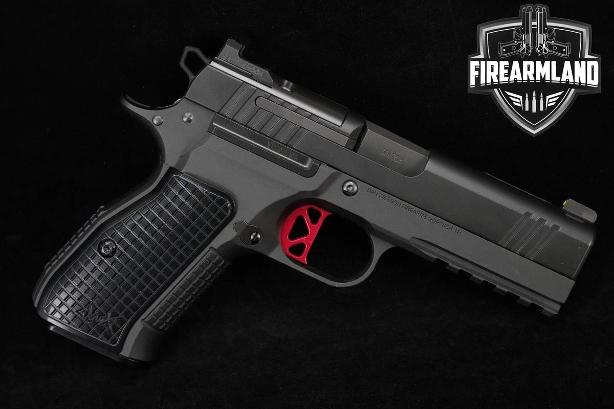 Dan Wesson DWX Compact 15+1 9mm 4" DWX-Compact  Dan-Wesson-DWX-C +2 MAGS