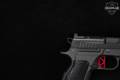 Dan Wesson DWX Compact 9mm Luger Black in Excellent Condition Image 5