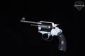 1919 Colt Police Positive Special .32-20 Win. Blued in Good Condition Image 2