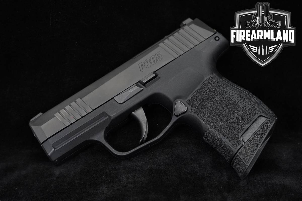 Sig Sauer P365-380 380ACP 3.1" +2 MAGS & ORIG CASE