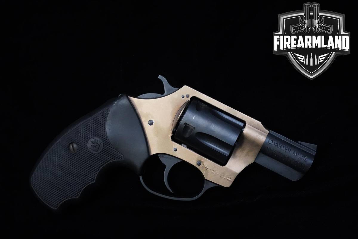 Charter Arms Panther Undercover Lite Leopard-Spot 38 Special 2"