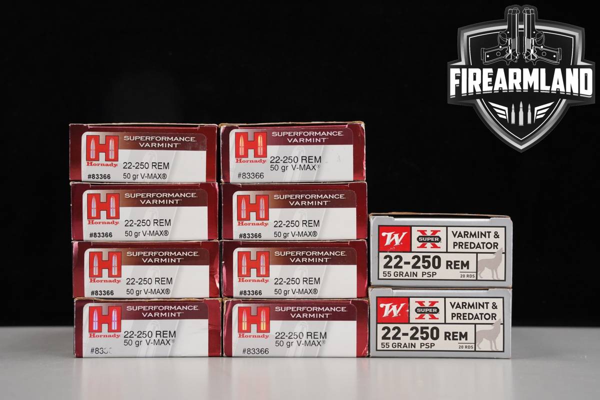 200 RDS! 22-250 Rem Remington Ammo