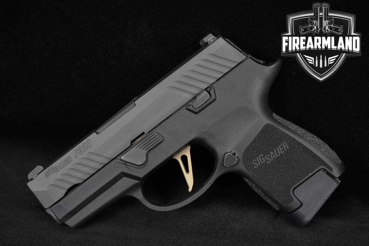 Sig Sauer P320 Sub-Compact 9mm 3.6" P-320 +2 MAGS & ORIG CASE