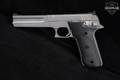 Smith & Wesson (S&W) Model 2206 .22 LR Matte Stainless in Good Condition Image 3