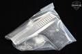 L.W. Seecamp (LW Seecamp) LWS 380 .380 ACP Stainless Steel in Factory New Condition Image 5