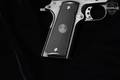 Para Ordnance 1911 GI Expert .45 ACP Black in Very Good Condition Image 3