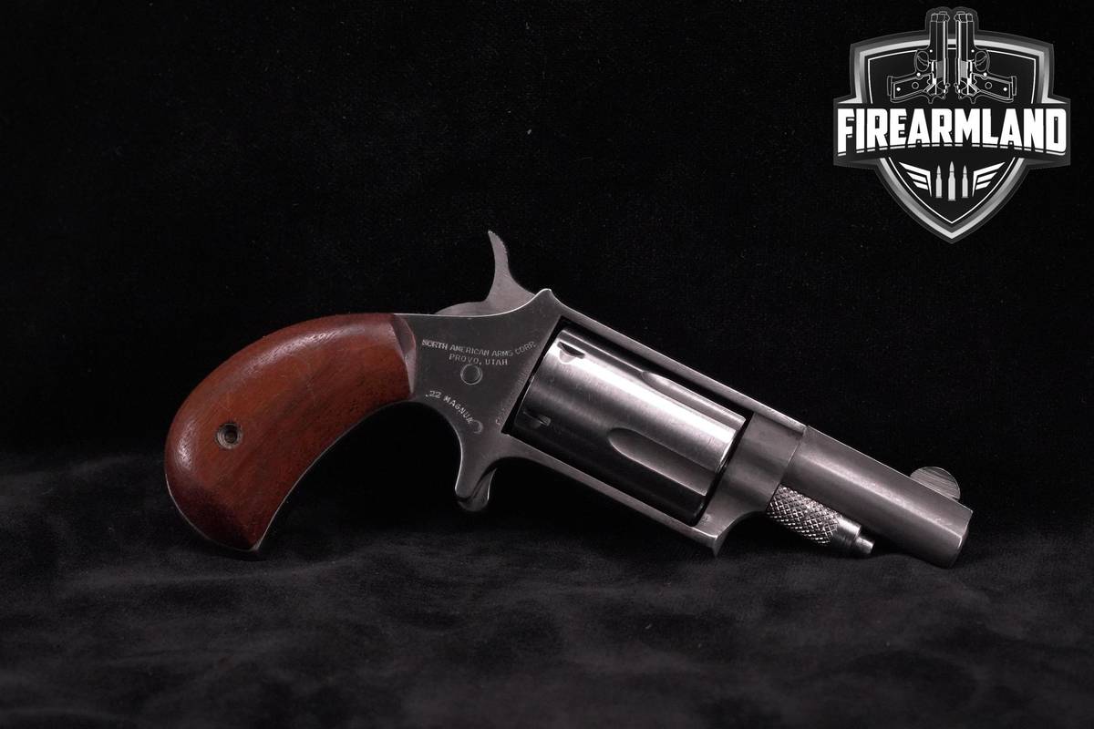 North American Arms (NAA) Derringer Magnum 22 Magnum 1.6" Silver NAA