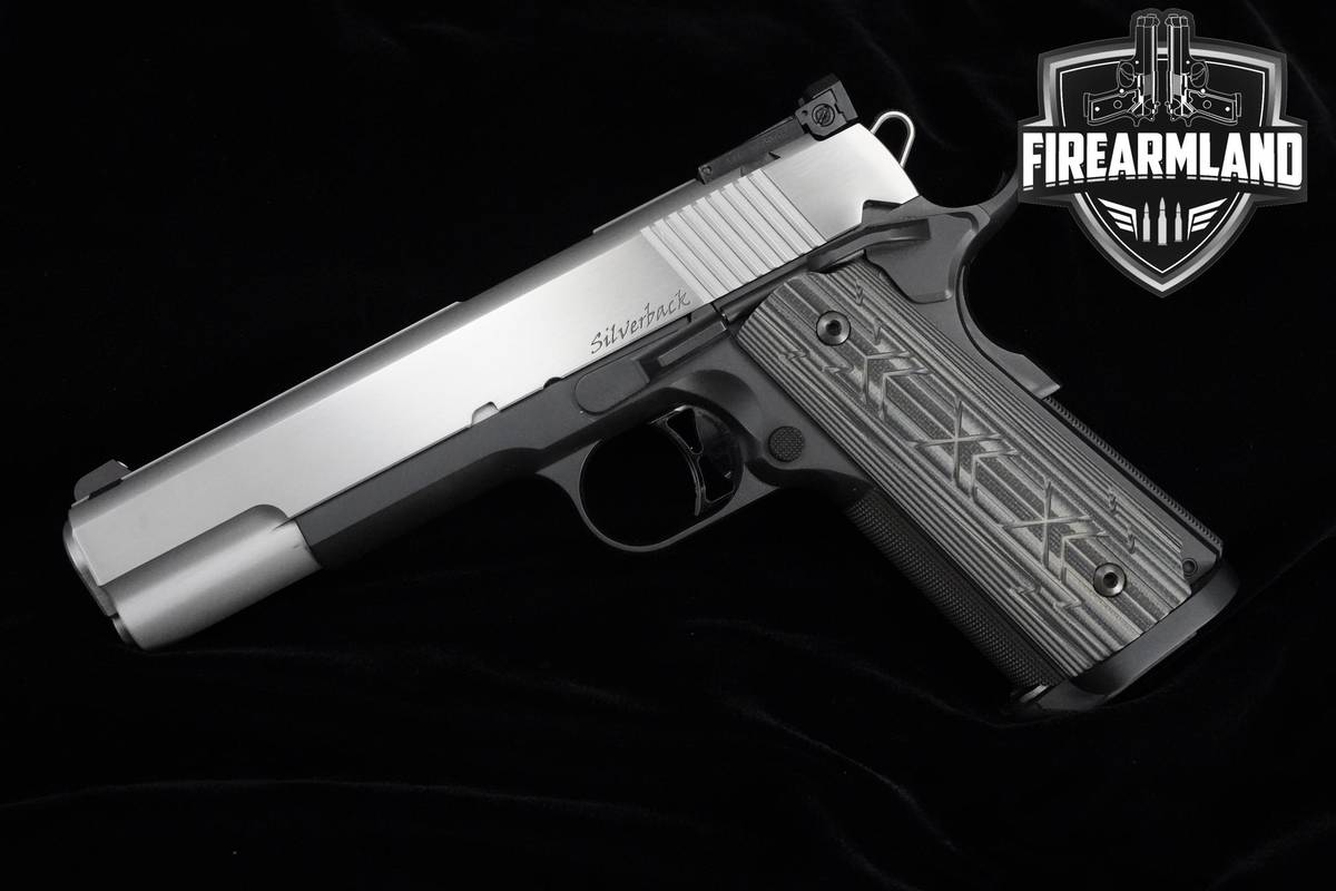 Dan Wesson Silverback 10mm 1911 5" Two-Tone Dan-Wesson 1911 +3 MAGS