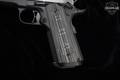 Dan Wesson Silverback 10mm Two-Tone in Excellent Condition Image 3