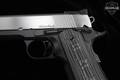 Dan Wesson Silverback 10mm Two-Tone in Excellent Condition Image 4