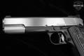 Dan Wesson Silverback 10mm Two-Tone in Excellent Condition Image 5