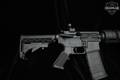 Bushmaster XM15-E2S 5.56mm NATO Black in Excellent Condition Image 4