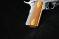 Rock Island Armory (RIA) EFS Stainless .45 ACP Stainless Steel in Very Good Condition Image 4