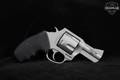 Charter Arms Pitbull .45 ACP Stainless Steel in Very Good Condition Image 3