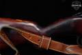 New Haven-Mossberg Model 880B .243 Win. Blued in Fair Condition Image 4