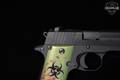 2012 Sig Sauer P238 Zombie .380 ACP Nitron in Excellent Condition Image 5