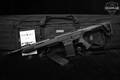 Silver Eagle TAC-LC 12 Gauge Black in Excellent Condition Image 2