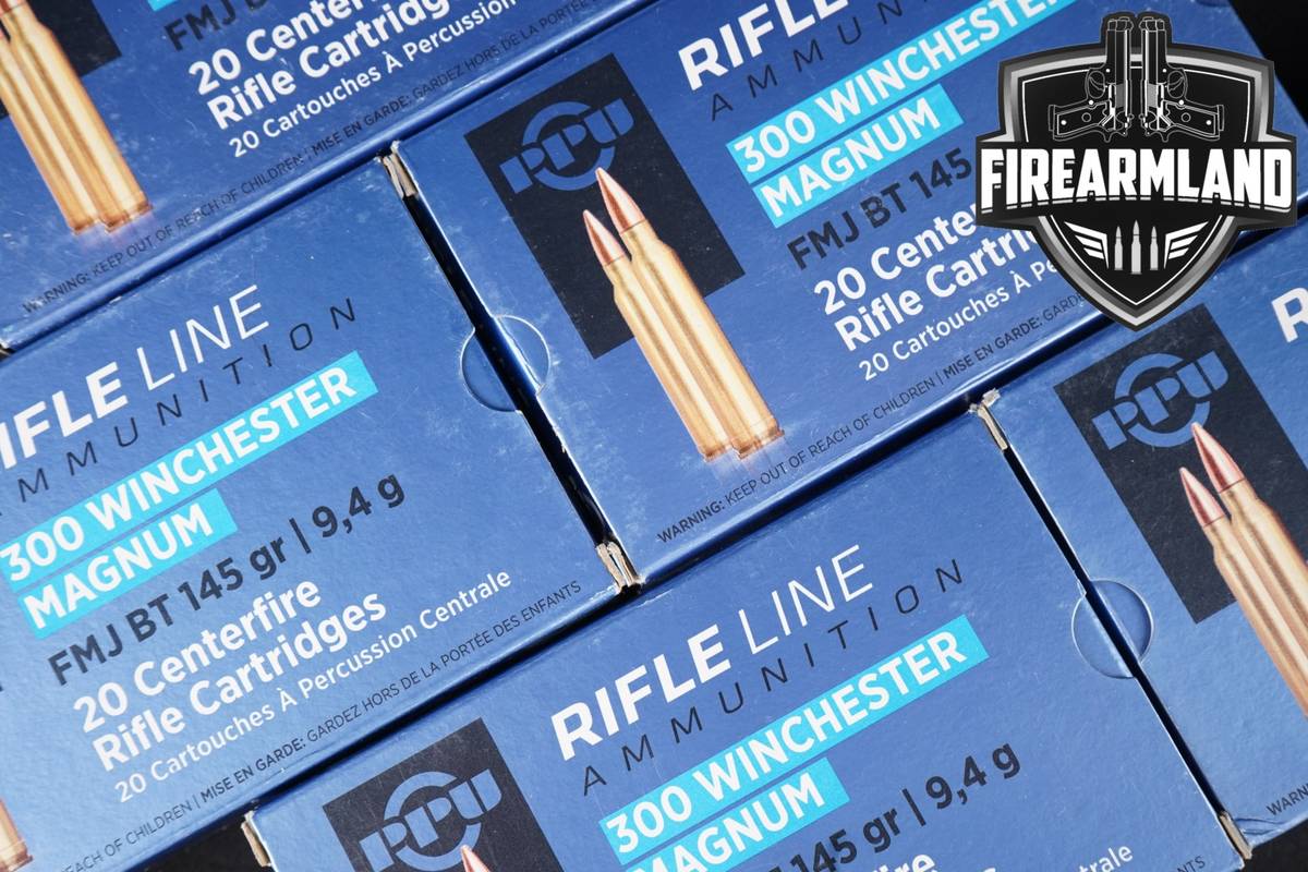 100 RDS! 300 Win Magnum Ammo Mag Ammunition