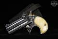 Davis Industries Model DM-22 .22 WMR Bright Chrome in Good Condition Image 2