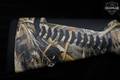 Benelli Super Black Eagle 3 Max-5 12 Gauge Realtree Camouflage in Excellent Condition Image 3