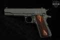 Tisas 1911A1 U.S. Army WG .45 ACP Grey in Excellent Condition Image 5