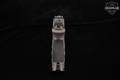 Walther PDP 9mm Luger Two-Tone in Excellent Condition Image 4