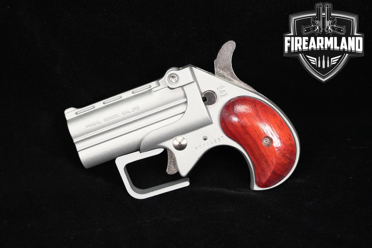 Bearman Model BBG380 Big Bore Guardian 380 ACP 2.75" Silver Pistol +OG BOX