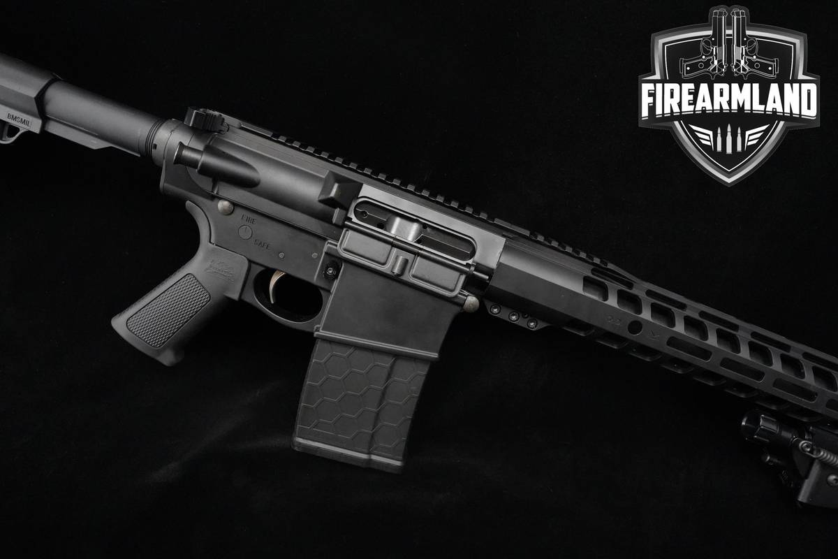 Palmetto State Armory (PSA) G3-10 308 Win AR-10 AR10 AR G3-10 AR-10-AR10 AR