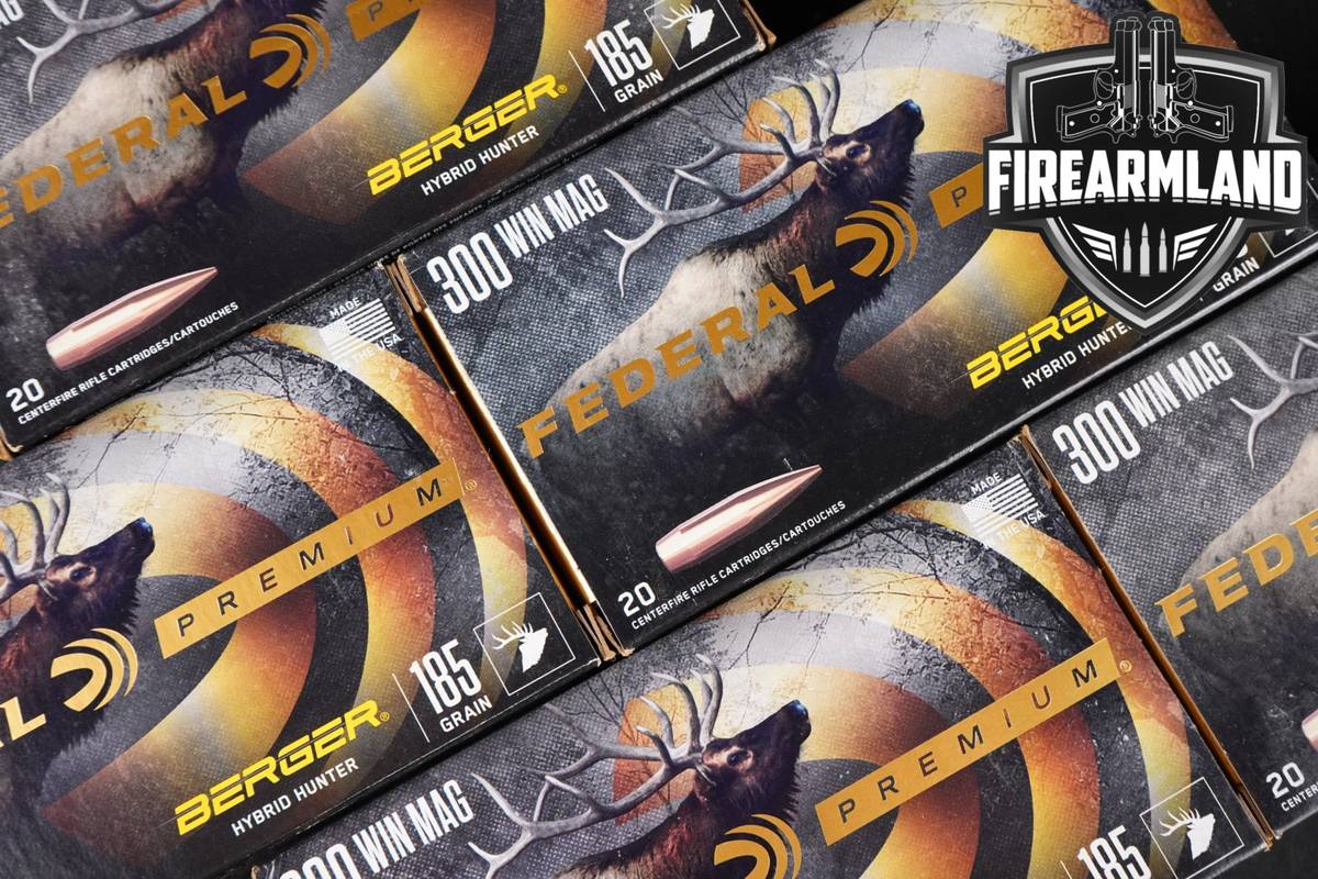 100 RDS! 300 Win Magnum Ammo Mag Ammunition