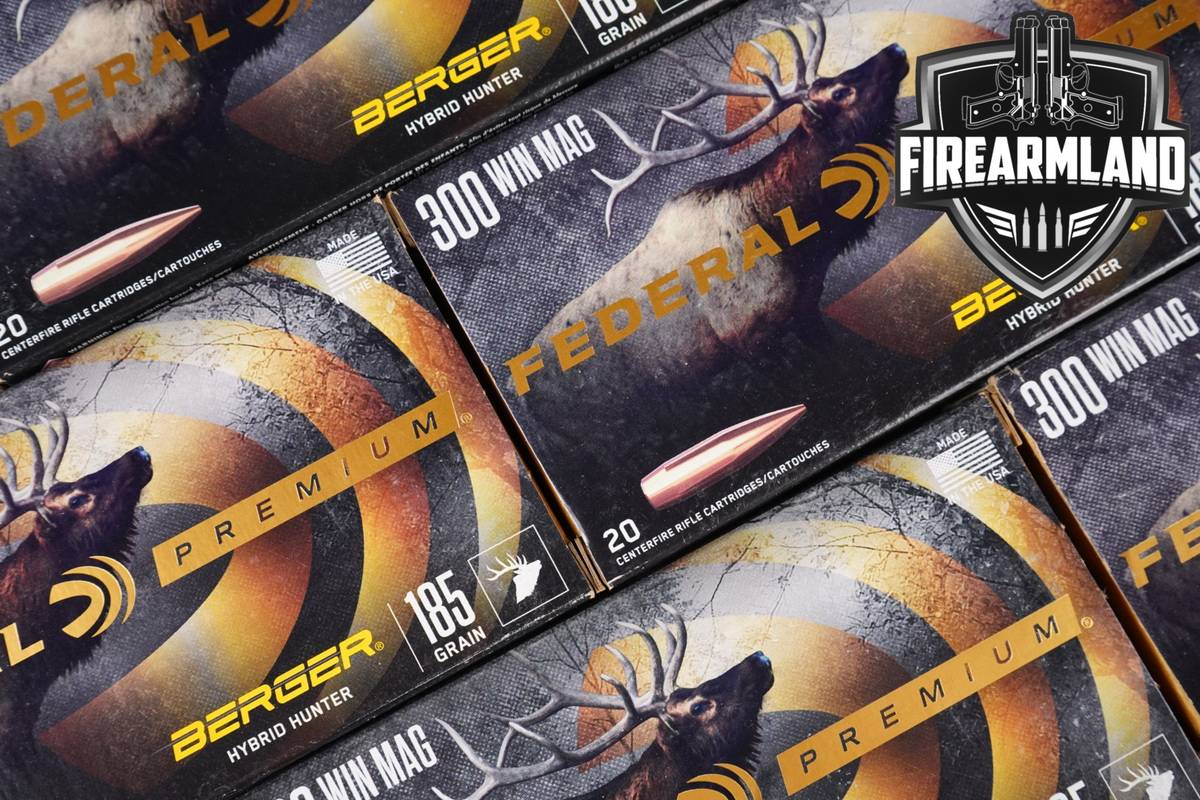 100 RDS! 300 Win Magnum Ammo Mag Ammunition