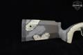 Springfield Armory Waypoint 2020 6.5 Creedmoor Ridgeline in Excellent Condition Image 4