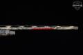 2016 Benelli M2 Field 20 Gauge Realtree Max-5 in Excellent Condition Image 4