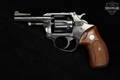 Charter Arms Pathfinder .22 Long Blued in Poor Condition Image 3