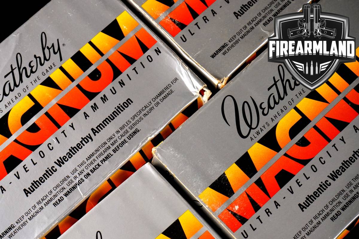80 RDS! 300 Wby Magnum Ammo Mag Ammunition