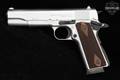Alpharms Savunma Sanayi Ltd. Centurion 11 .45 ACP Silver in Very Good Condition Image 4