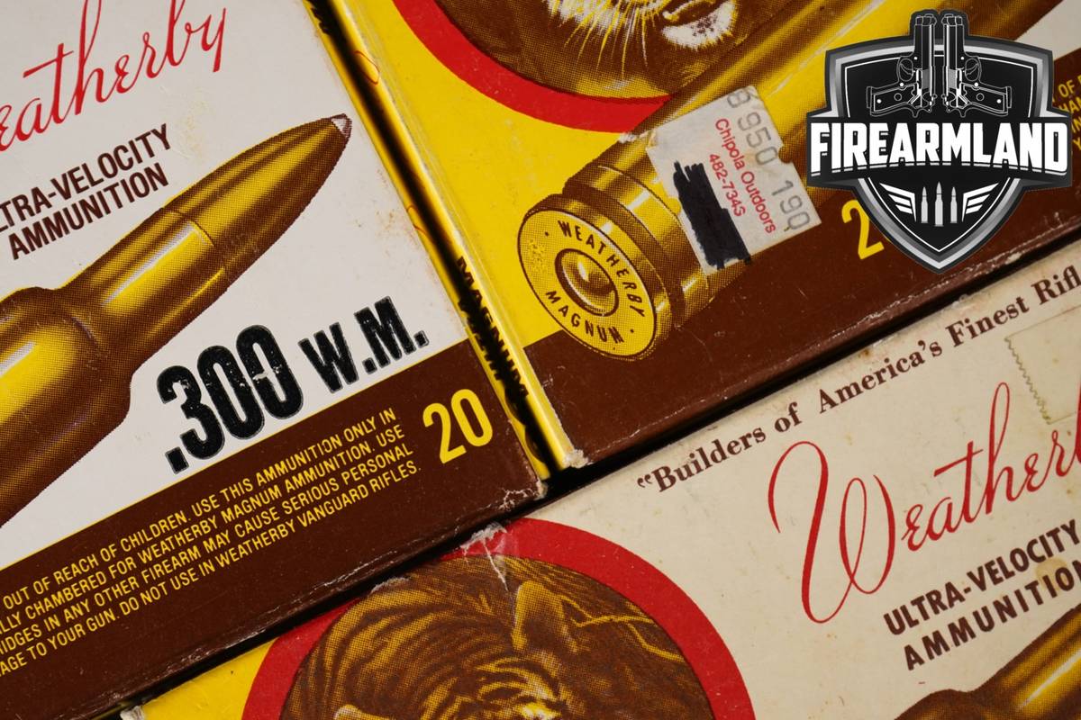 60 RDS! 300 Wby Magnum Ammo Mag Ammunition