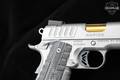 Kimber Rapide Dawn 10mm Kimpro Silver in Very Good Condition Image 3