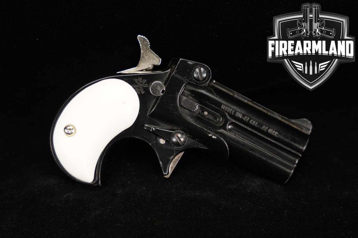 Davis Industries Model DM-22 22WMR 2.4" DM22 DERRINGER