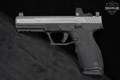Palmetto State Armory (PSA) Rock 5.7 5.7X28mm Two-Tone Gray & Black in Excellent Condition Image 2