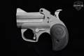 Bond Arms Roughneck .45 ACP Stainless Steel in Excellent Condition Image 5