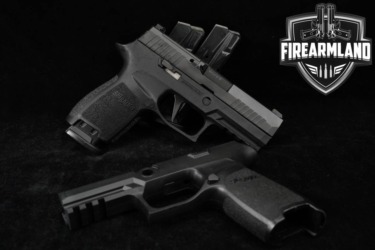 Sig Sauer P320 XCarry Pro AGENCY VAULT LE 9mm Optics-Ready P 320 LEO