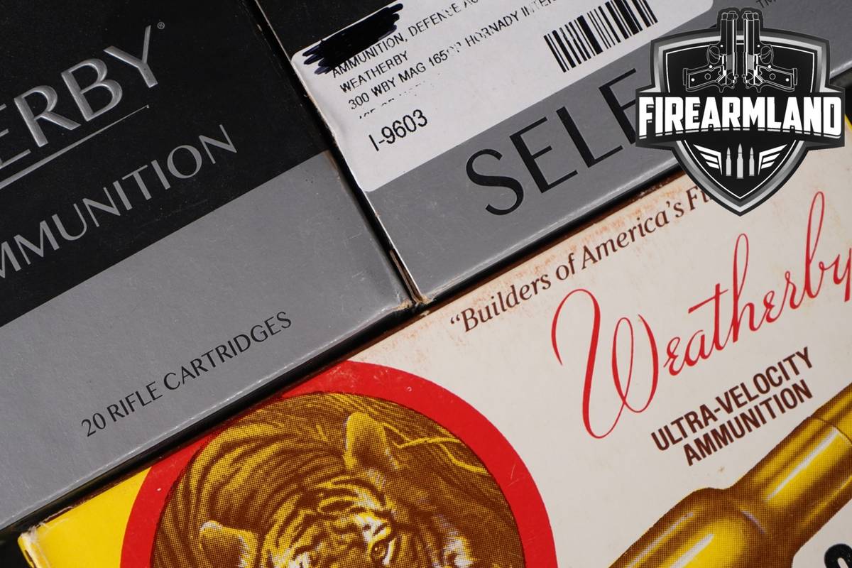 60 RDS! 300 Wby Magnum Ammo Mag Ammunition